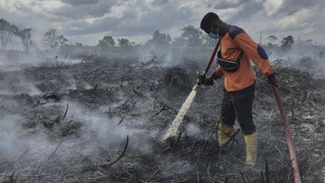 belum-puncak-musim-kering,-ri-sudah-dilanda-125-kebakaran-hutan