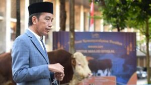 ragam-sapi-kurban-jokowi-di-38-provinsi,-simental-hingga-limousin