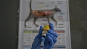 gubernur-bali-targetkan-2024-tidak-ada-yang-meninggal-akibat-rabies