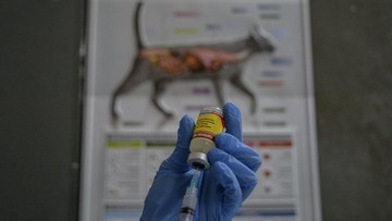 gubernur-bali-targetkan-2024-tidak-ada-yang-meninggal-akibat-rabies