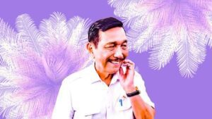 pahami-pemutihan-lahan-yang-dilakukan-luhut-ke-3,3-juta-ha-lahan-sawit