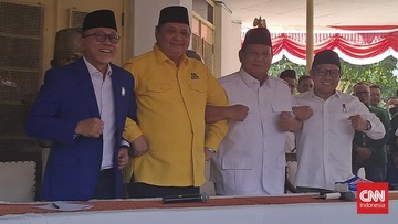 airlangga-dukung-prabowo:-lahir-dari-rahim-golkar