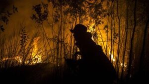 kebakaran-hutan-gunung-bekel-hanguskan-15-hektare-padang-ilalang