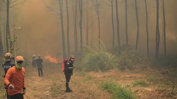 kebakaran-hutan-gunung-cermai-jabar-capai-102-hektare