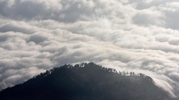 kebakaran-gunung-arjuno-jatim-meluas,-semua-akses-wisata-ditutup