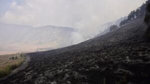 kebakaran-gunung-bromo-dipicu-pengunjung-prewedding-nyalakan-flare