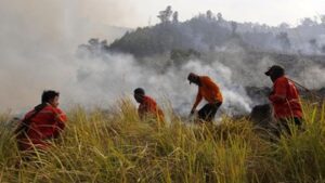 manajer-wedding-organizer-jadi-tersangka-kebakaran-savana-bromo