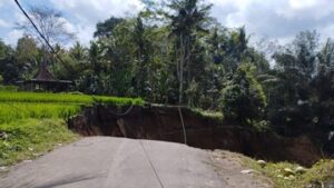 muncul-sinkhole-50-meter-di-jalur-wisata-tegalalang-tampaksiring-bali