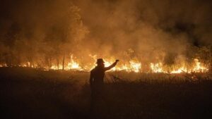 kebakaran-di-lereng-gunung-jayanti,-tim-gabungan-buka-jalur-pemadaman