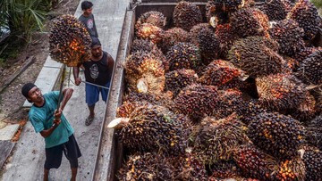 bursa-cpo-indonesia-resmi-meluncur,-ri-punya-harga-acuan-sendiri