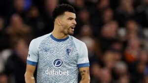 tottenham-sepakati-transfer-solanke