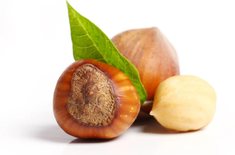 close-up-of-hazelnuts-2025-04-01-20-31-42-utc